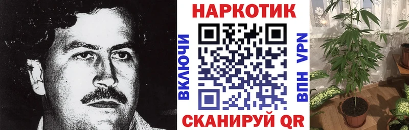 Наркошоп купить Cocaine  МЕФ  ГАШ  МАРИХУАНА  Козьмодемьянск
