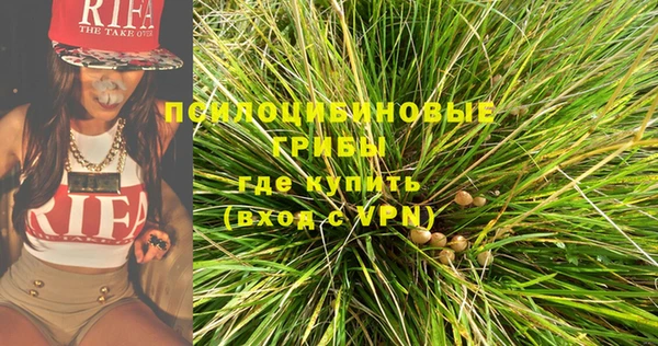 кокс Вяземский
