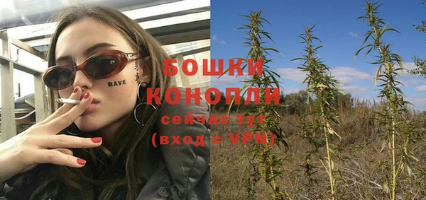 кокс Вяземский
