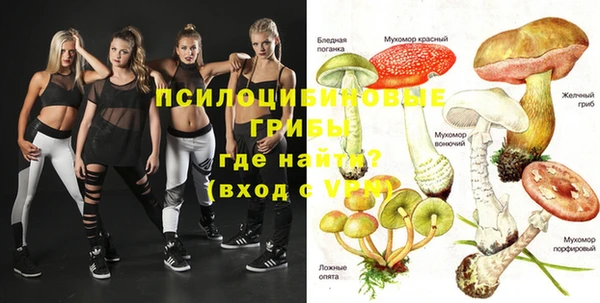 крисы Вязники