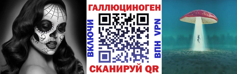 Купить закладки  Козьмодемьянск  Псилоцибиновые грибы MAGIC MUSHROOMS 